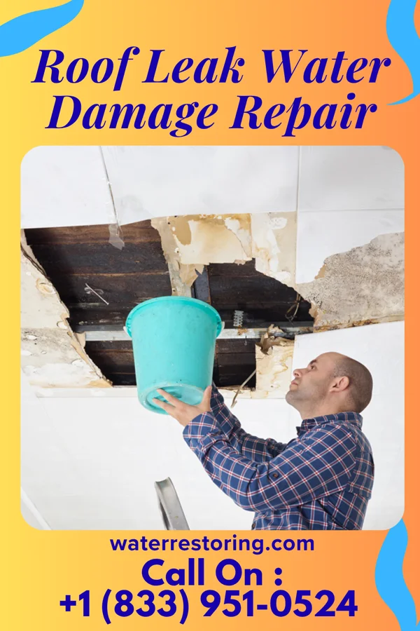 Roof Leak Water Damage Repair in Timberlane, LA