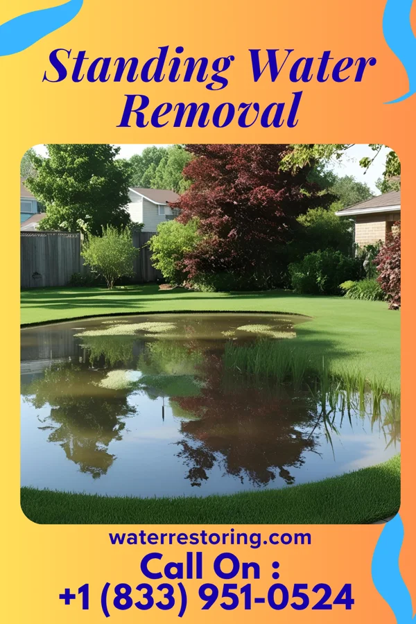 Standing Water Removal in Timberlane, LA